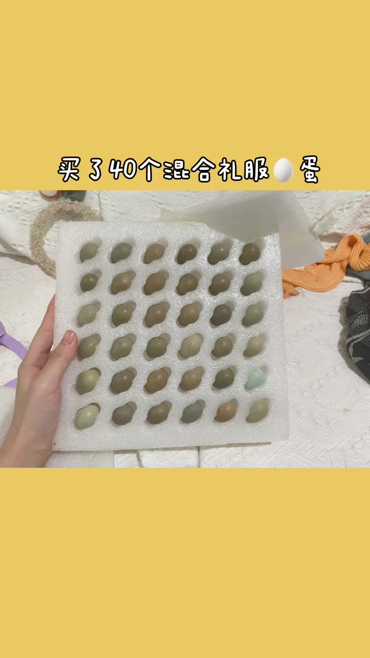 芦丁鸡孵化全过程(上)