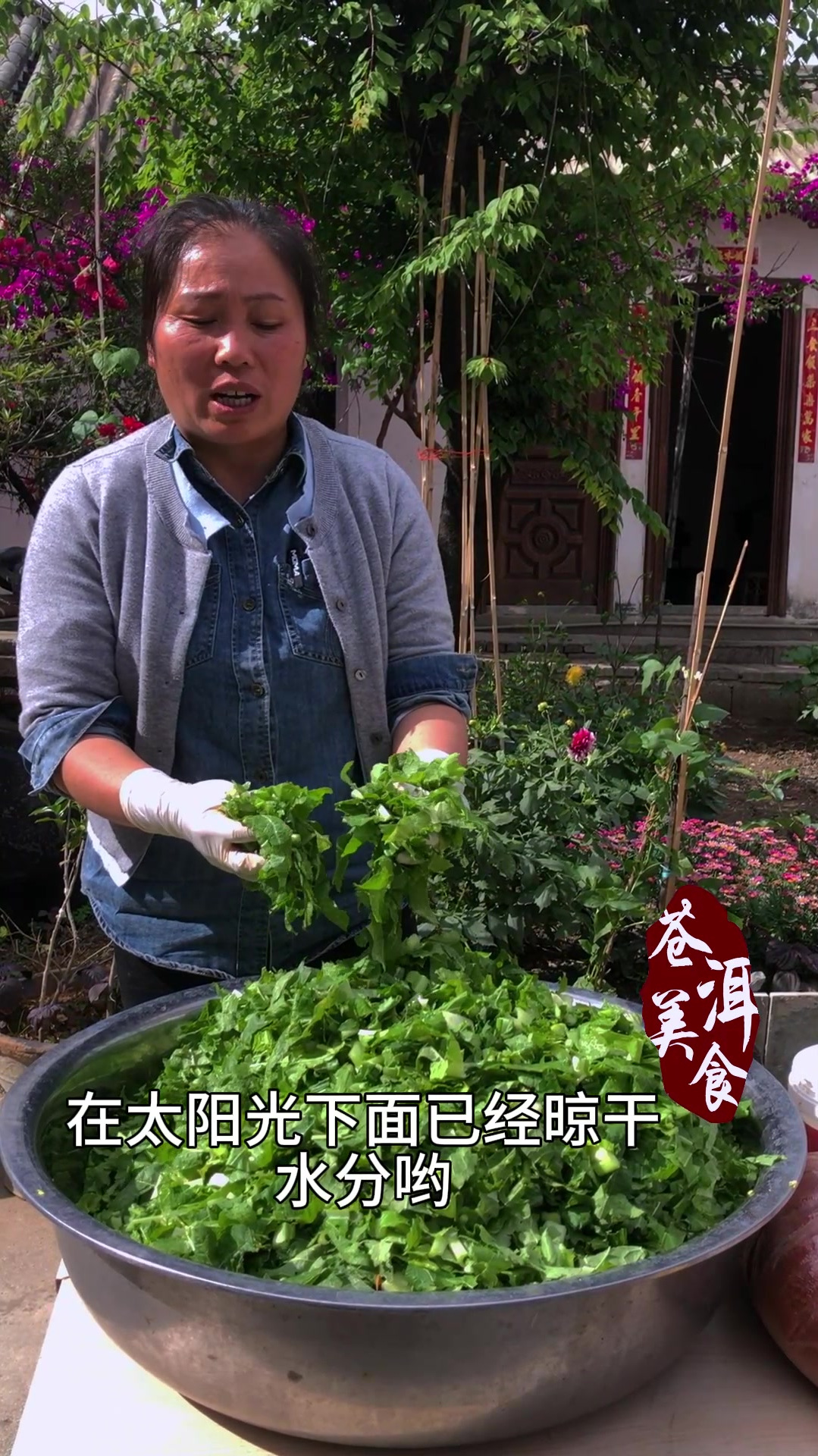 云南大理白族农家金花杨姐分享20多年制作水腌菜经验配方毫无保留