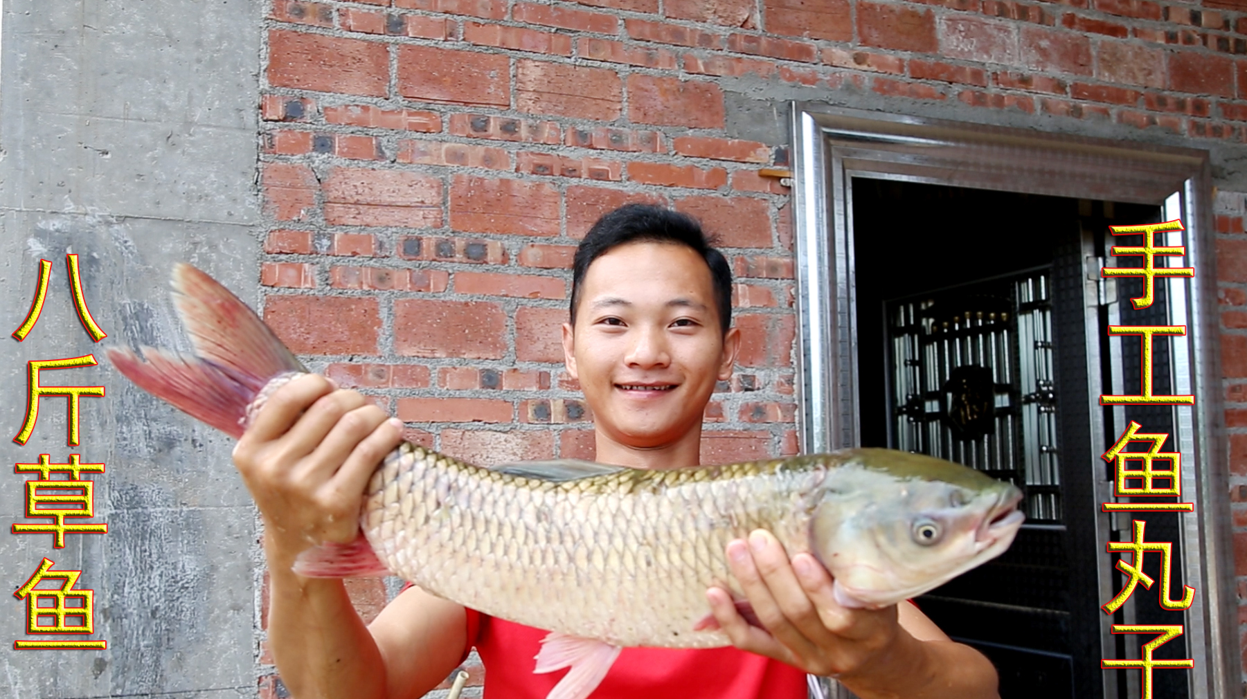 8斤大草鱼,做传统手工鱼丸子,无一条鱼刺,弹牙鲜美,吃过瘾了