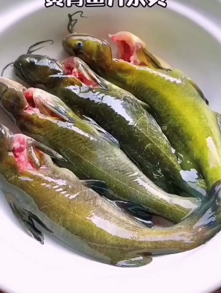 黄骨鱼汤,好吃不腻