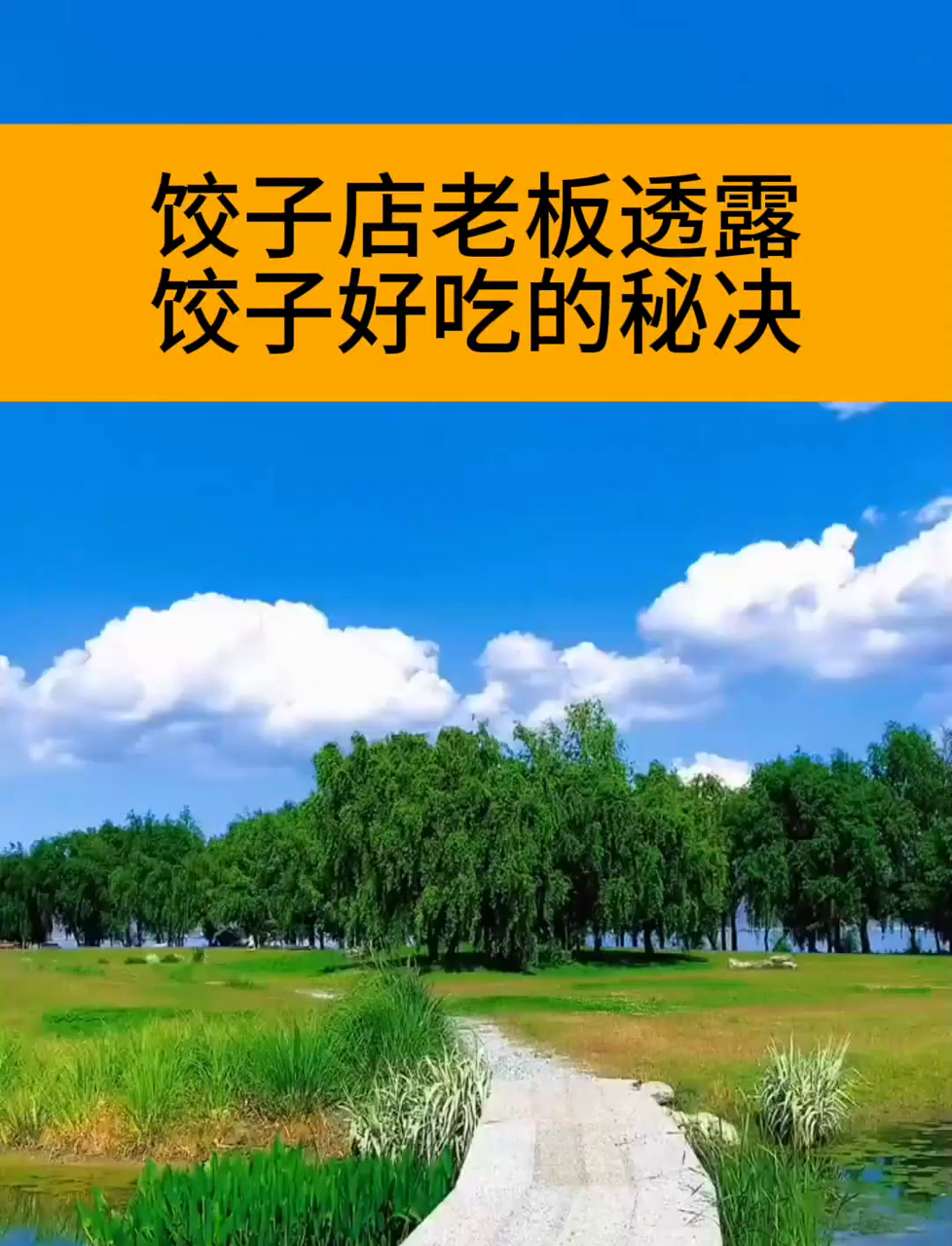 饺子店老板公开美味饺子秘诀