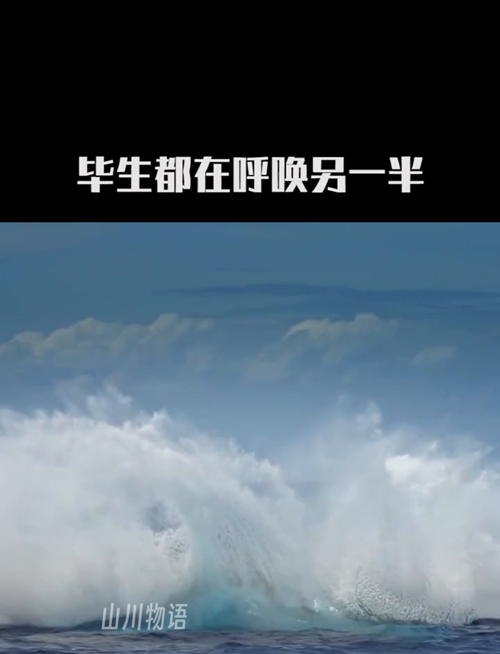 你听过鲸鱼唱的歌吗?