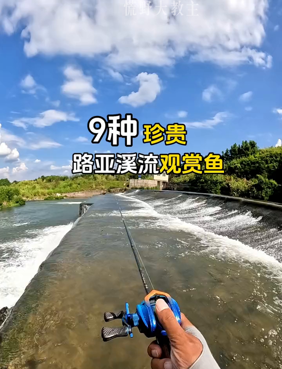 分享九招溪流钓鱼技巧,路亚钓法大揭秘!