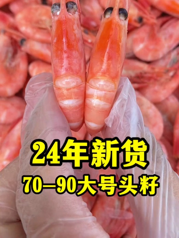 北极甜虾怎么吃?关于北极虾你不知道的秘密