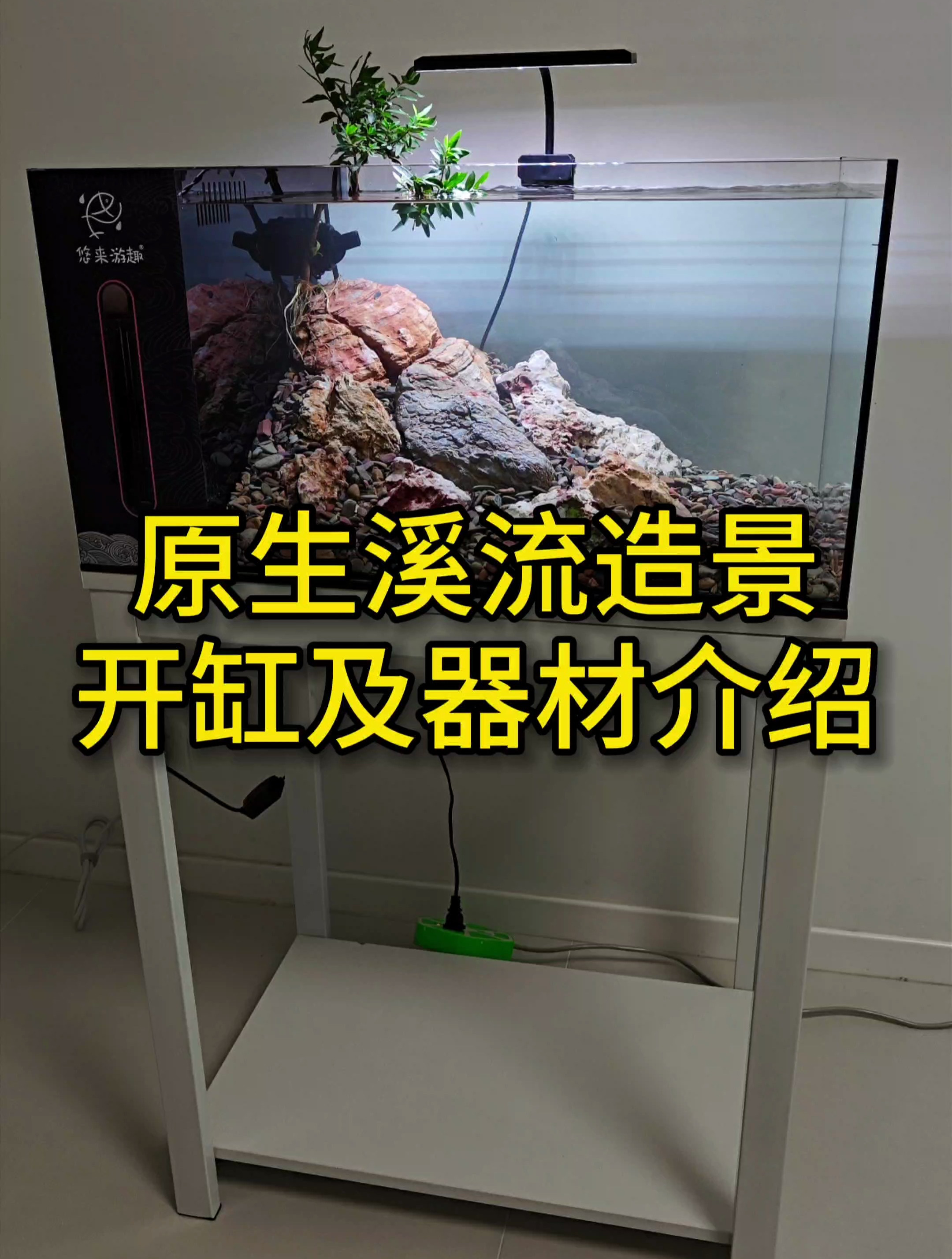溪流缸造景教程,及器材清单,新手玩原生景观看这个
