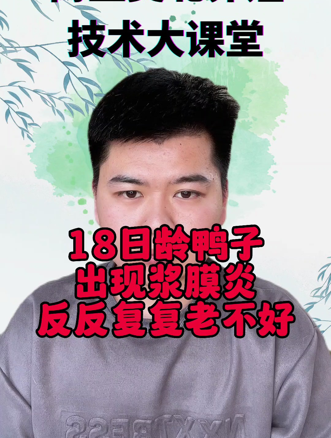 鸭子浆膜炎怎么引起的鸭子浆膜炎是什么症状鸭子为什么会得浆膜炎