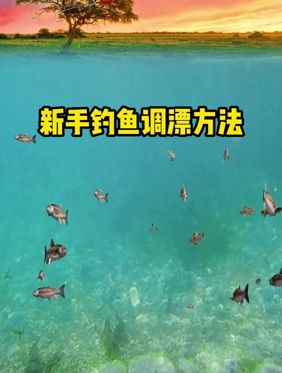 新手钓鱼调漂方法,双击收藏备用