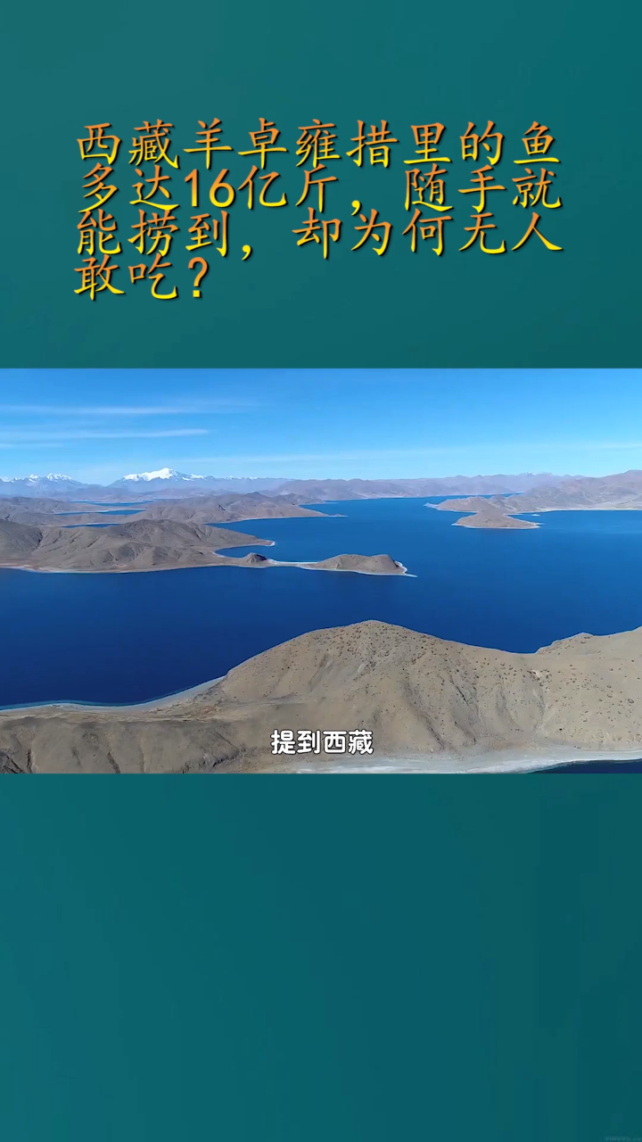 西藏羊卓雍措里的鱼多达16亿斤,随手就能捞到,却为何无人敢吃