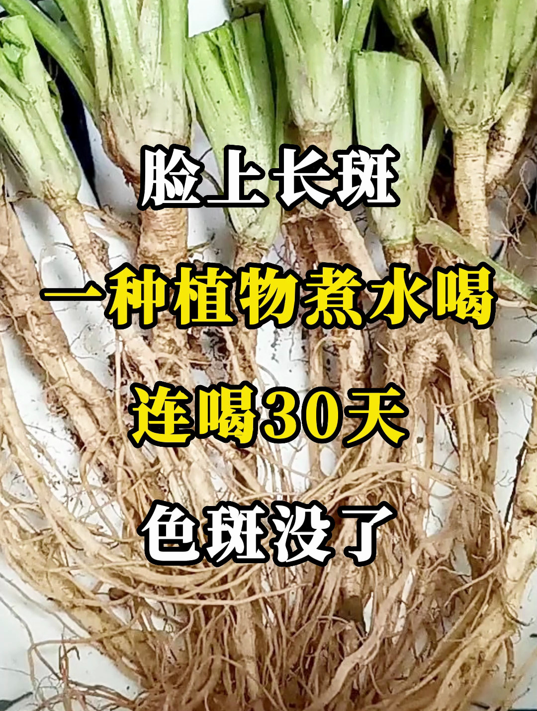 脸上长斑,一种植物煮水喝,连喝30天,色斑没了