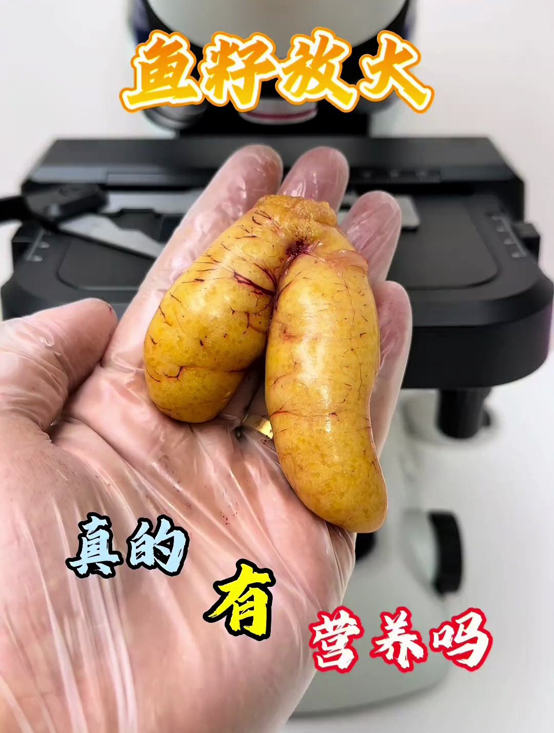 鱼籽真的有营养吗?