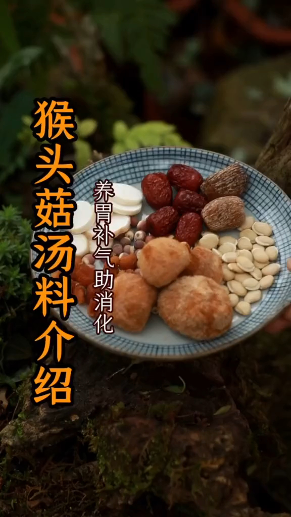 大名鼎鼎的猴头菇养胃汤来啦!养胃补气助消化,而且很好喝