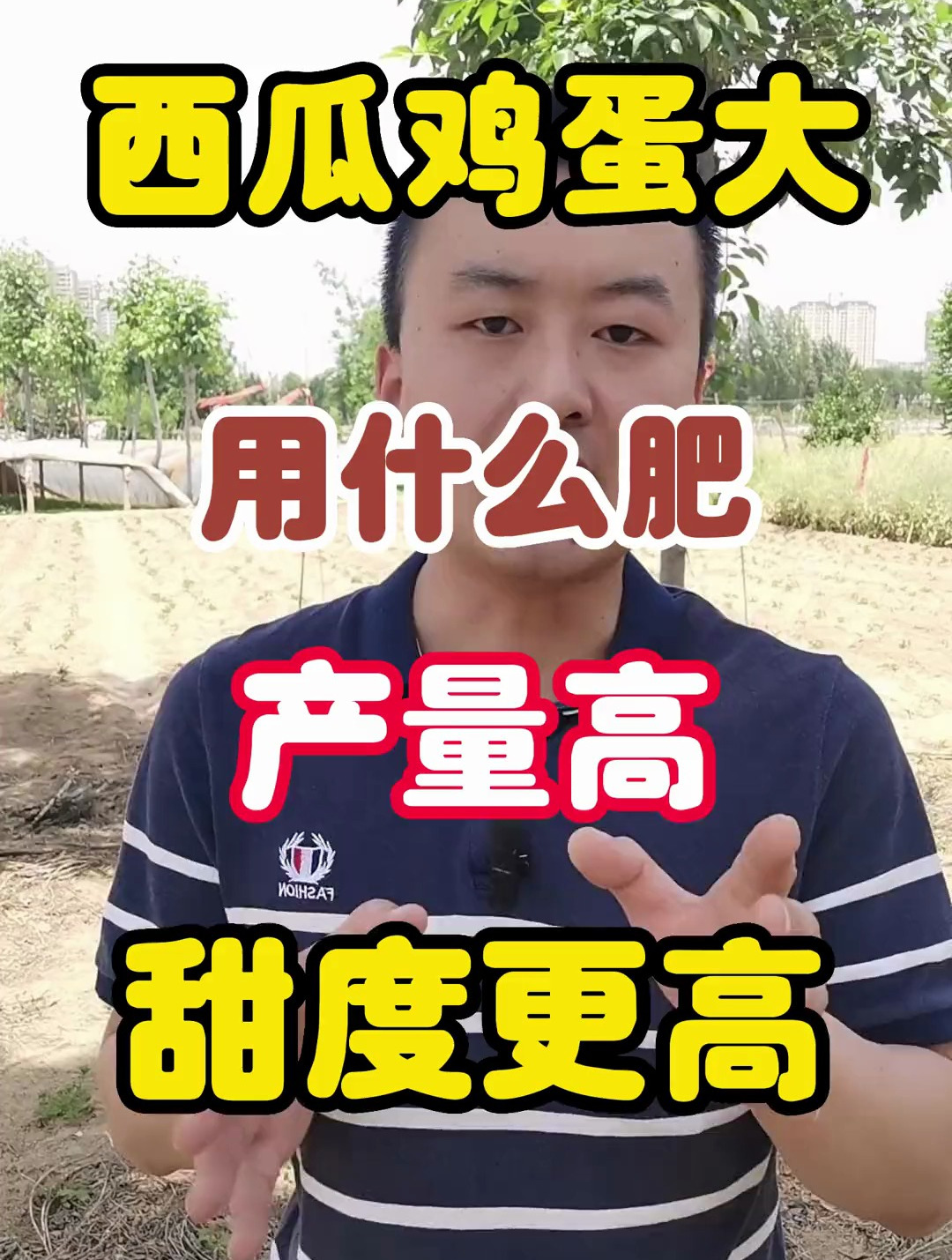 种西瓜鸡蛋大小时,用什么肥产量高,甜度更高