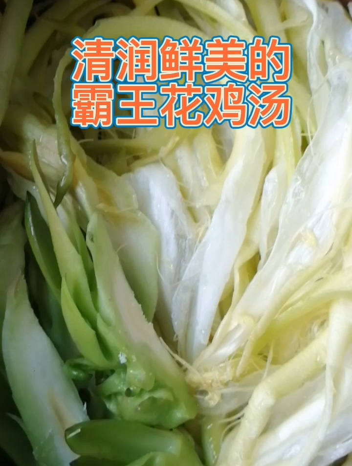 霸王花鸡汤要这样煲,煲出来的汤清淡而鲜美,清心润肺