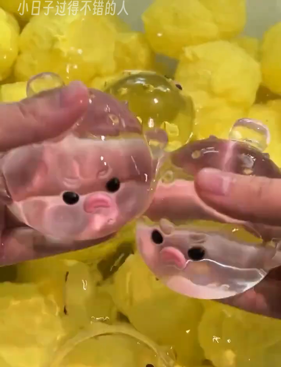 晶莹剔透的小金鱼,水里游来游去真可爱!