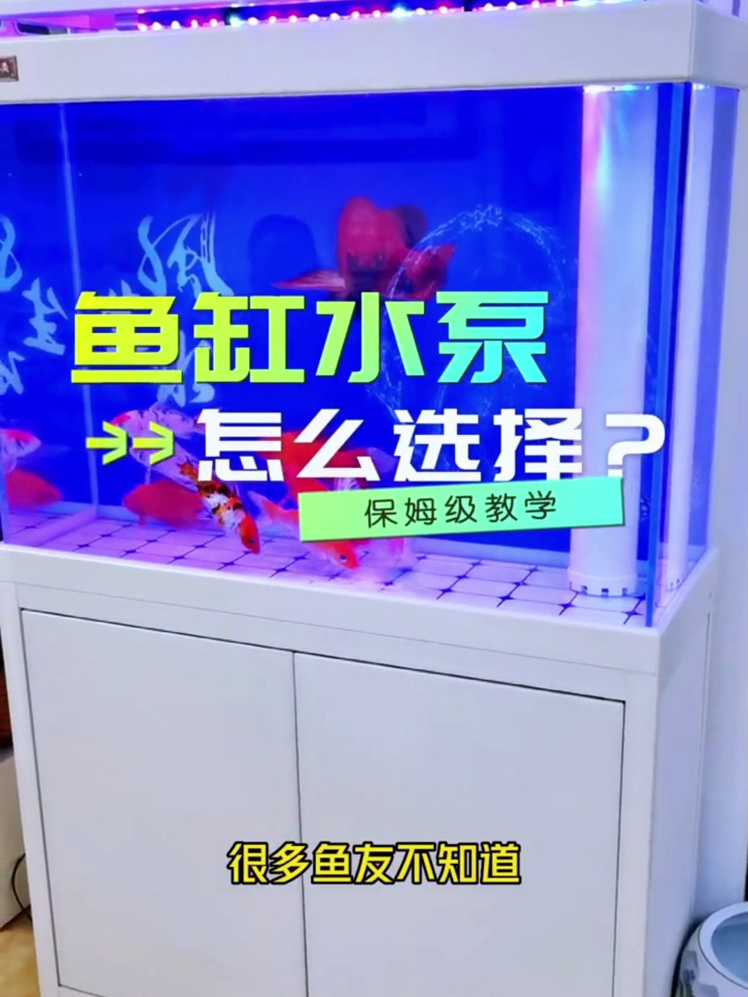 鱼缸的水泵你还不知道怎么选择?看看养鱼大佬都在用什么!
