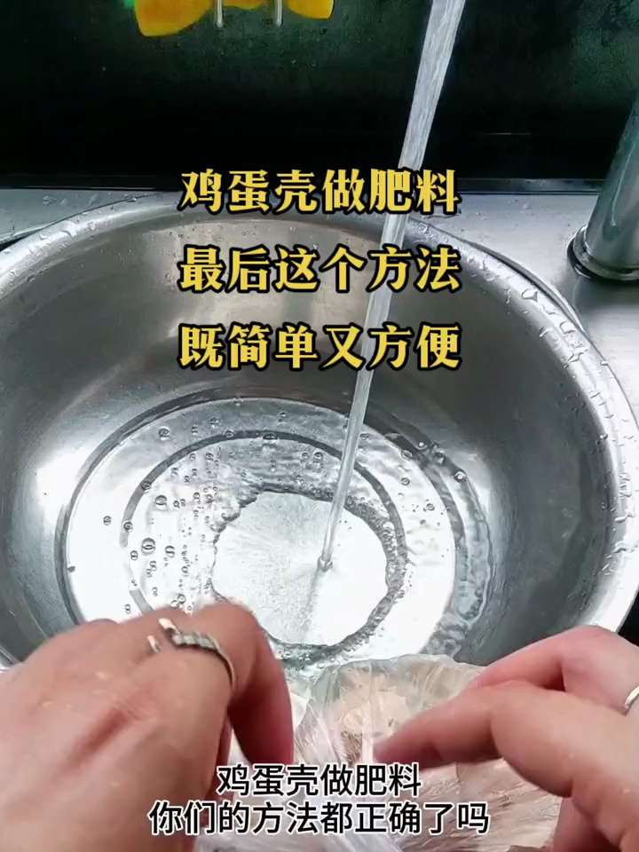 如何用蛋壳做肥料?鸡蛋壳做肥料的几种方法
