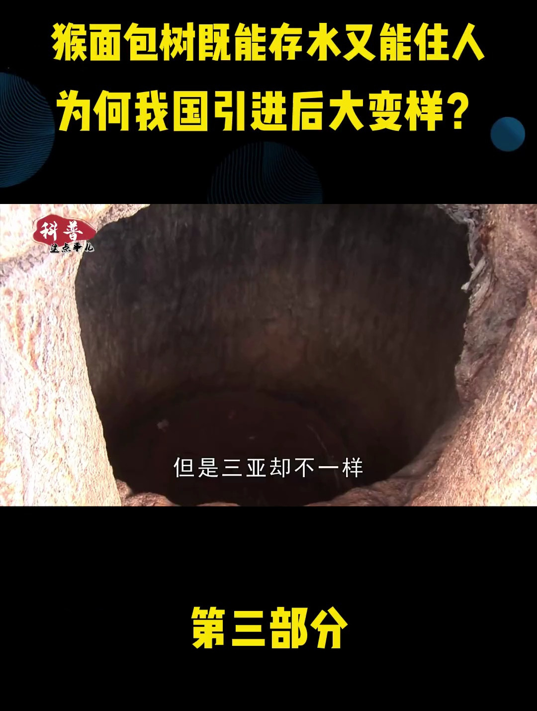 猴面包树寿命高达5000年,既能存水又能住人