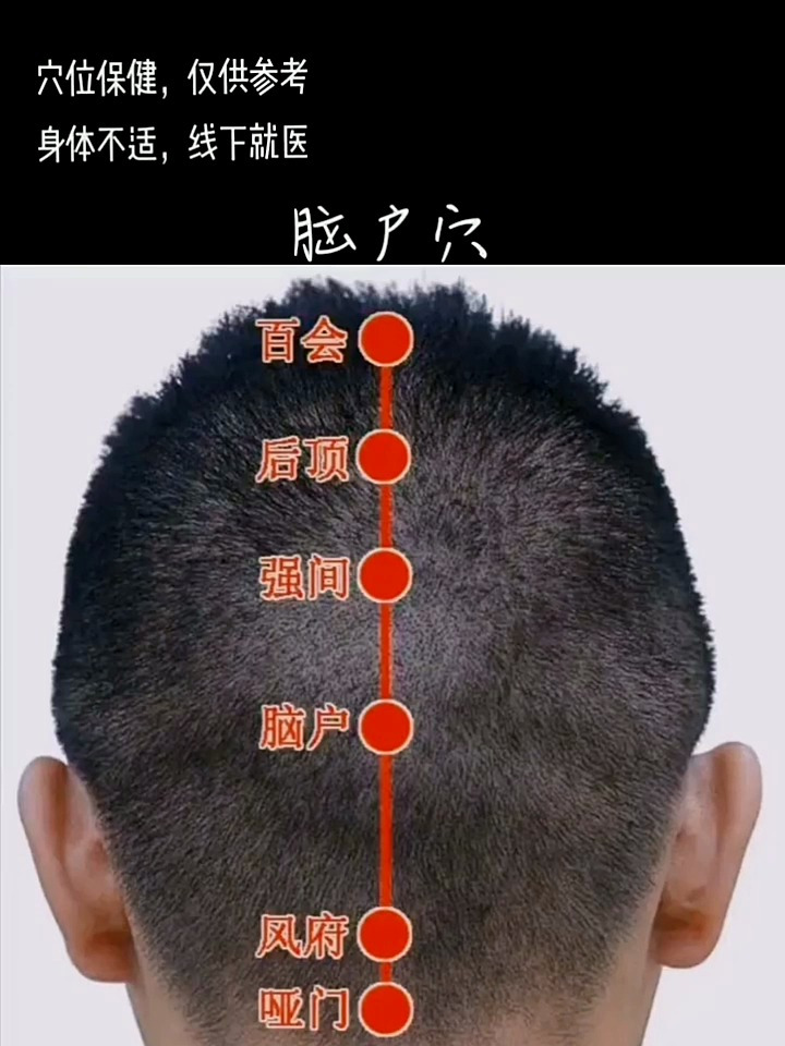 人体自有大药穴位——脑户穴