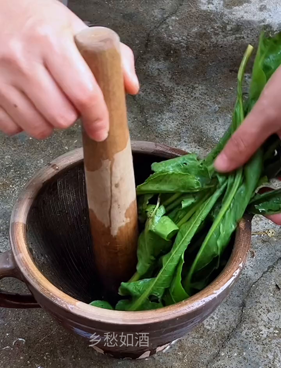 瞧见野菜就挖点儿带回家吧