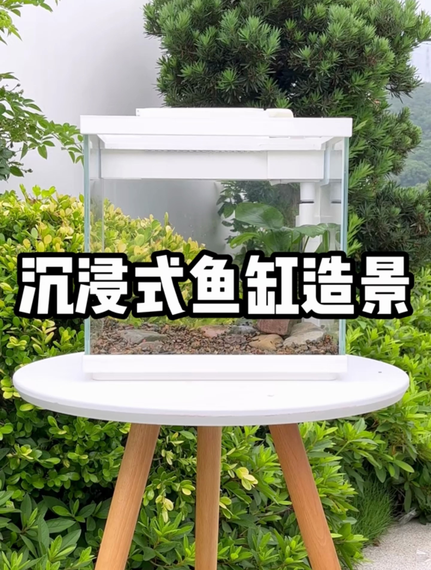 不来看看沉浸式鱼缸造景吗?简单易学好上手,学会就能自己养鱼啦