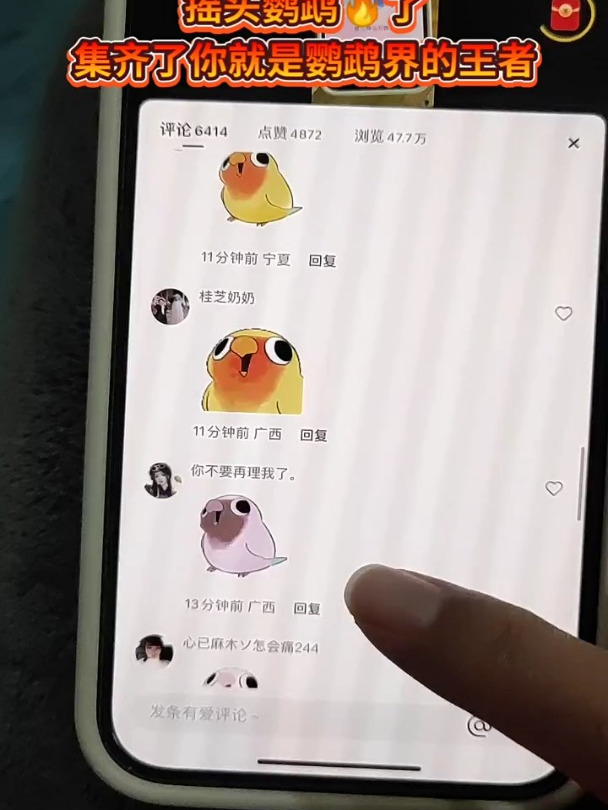 摇头鹦鹉表情包了,集齐了你就是鹦鹉界的王者