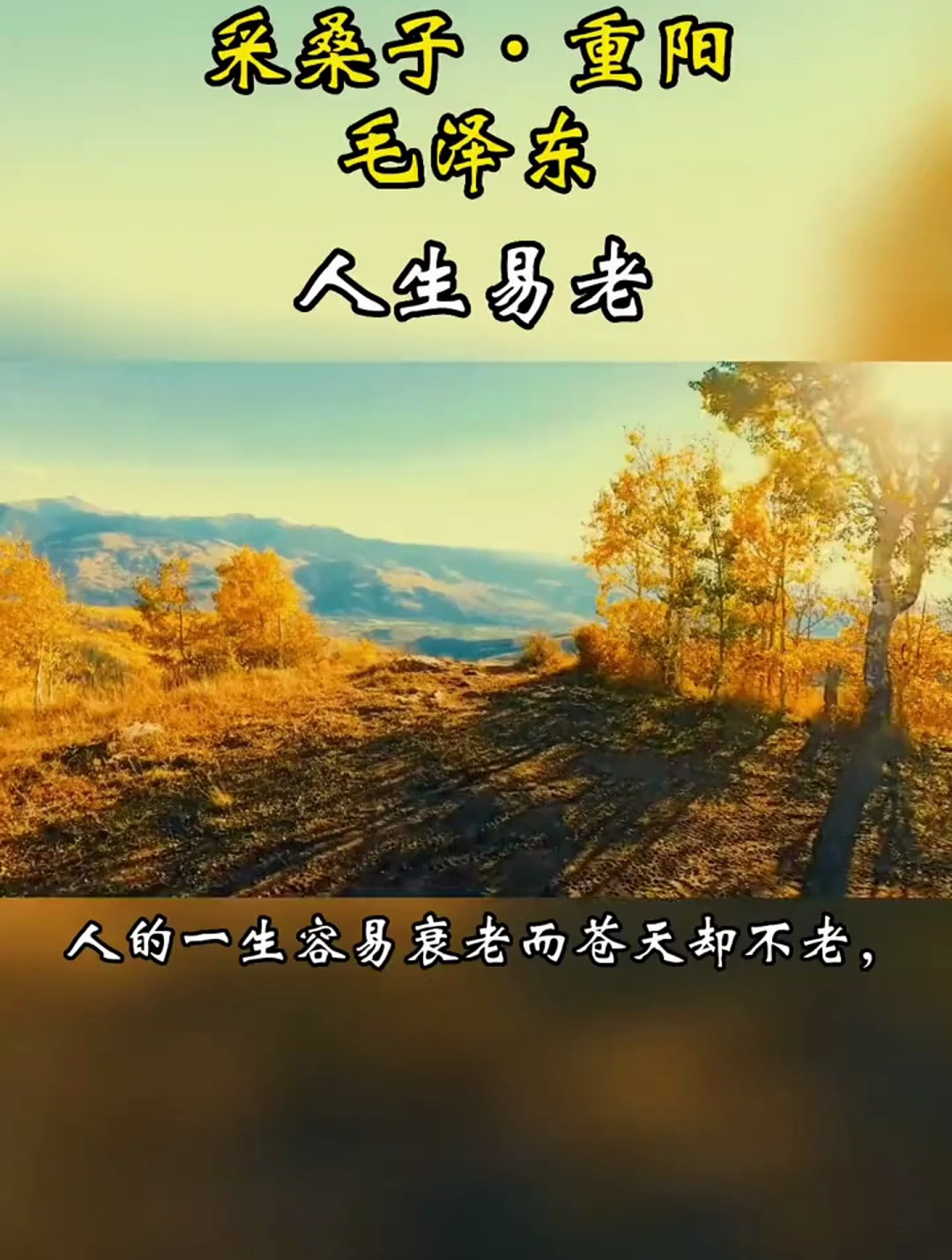 《采桑子·重阳》人生易老天难老,岁岁重阳