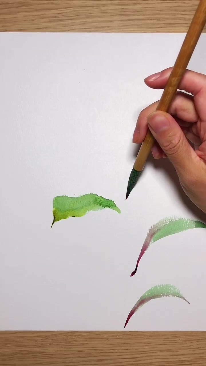 红红火火鸡冠花|水彩|写意