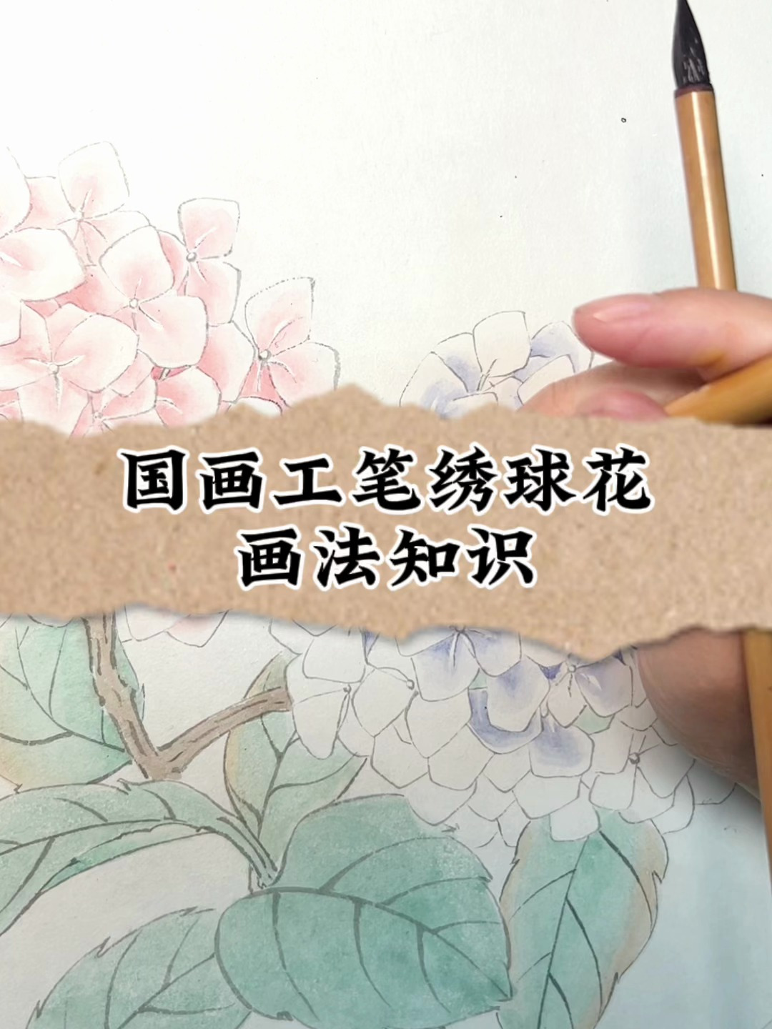 国画绣球花画法过程