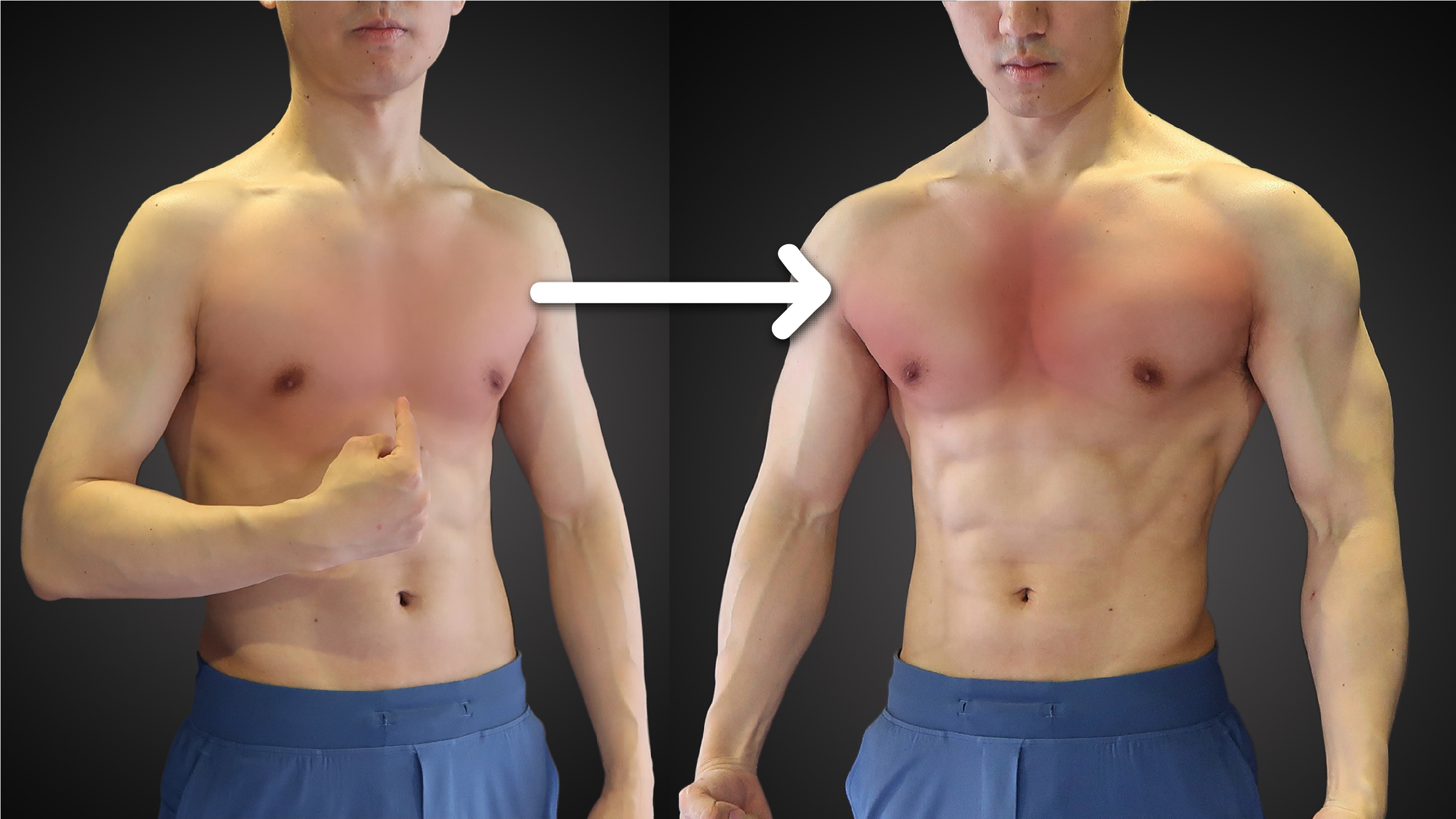 练出有型胸肌,拒绝单薄(一对哑铃在家练)