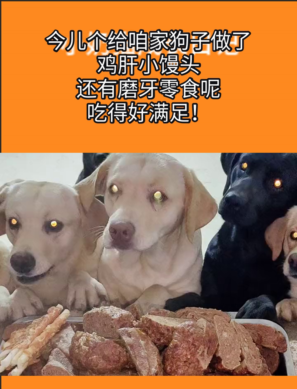 今儿个给咱家狗子做了鸡肝小馒头,还有磨牙零食呢,吃得好满足!