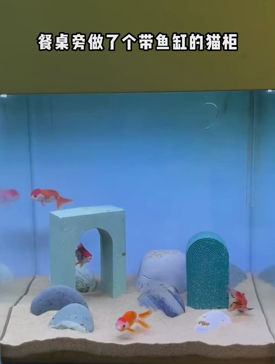 家里的这些细节够我吹一辈子了①带鱼缸的猫柜~
