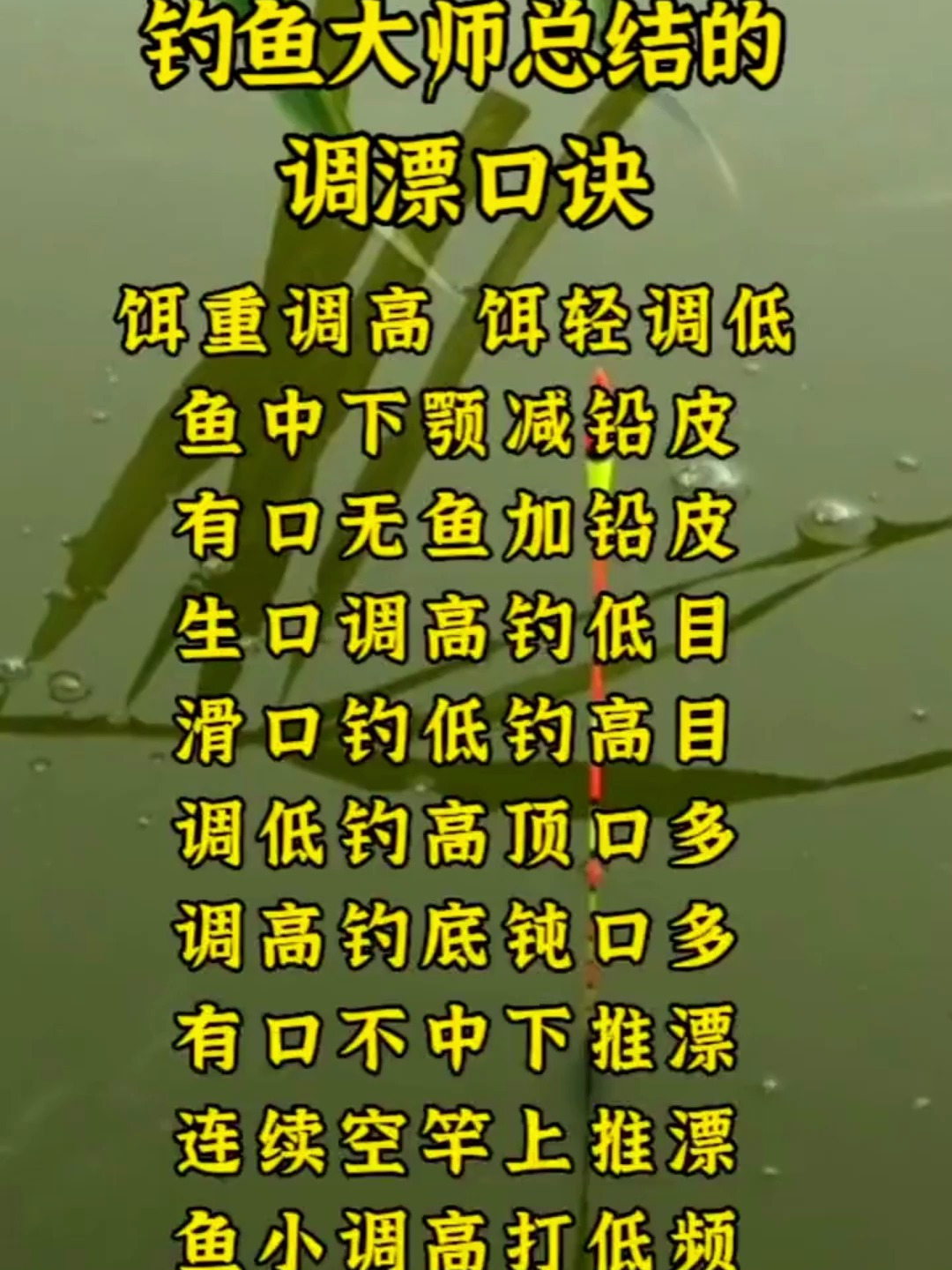 钓鱼高手都在怎么调漂?总结出的口诀太好用了!