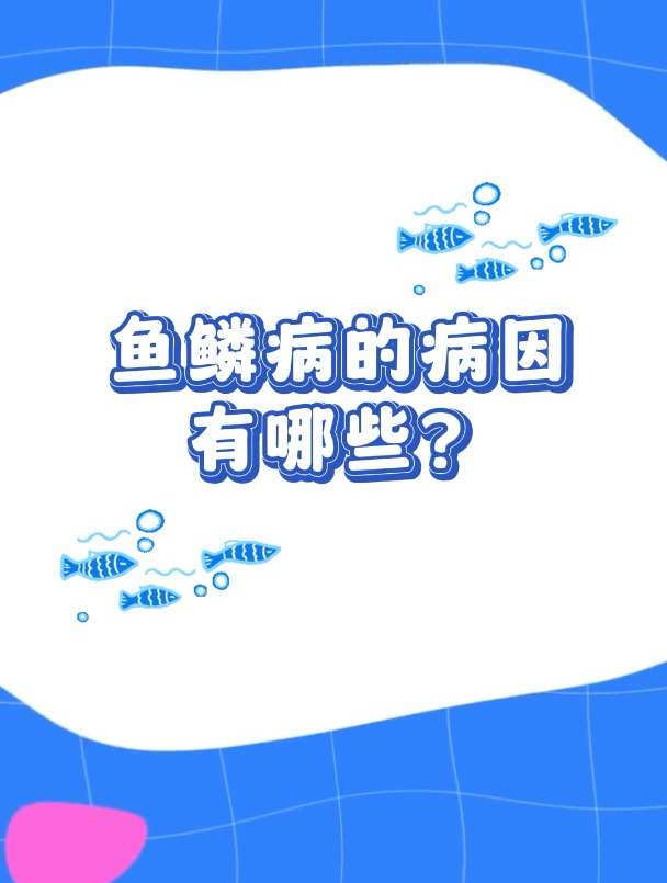 深圳肤康皮肤小知识:鱼鳞病的病因!