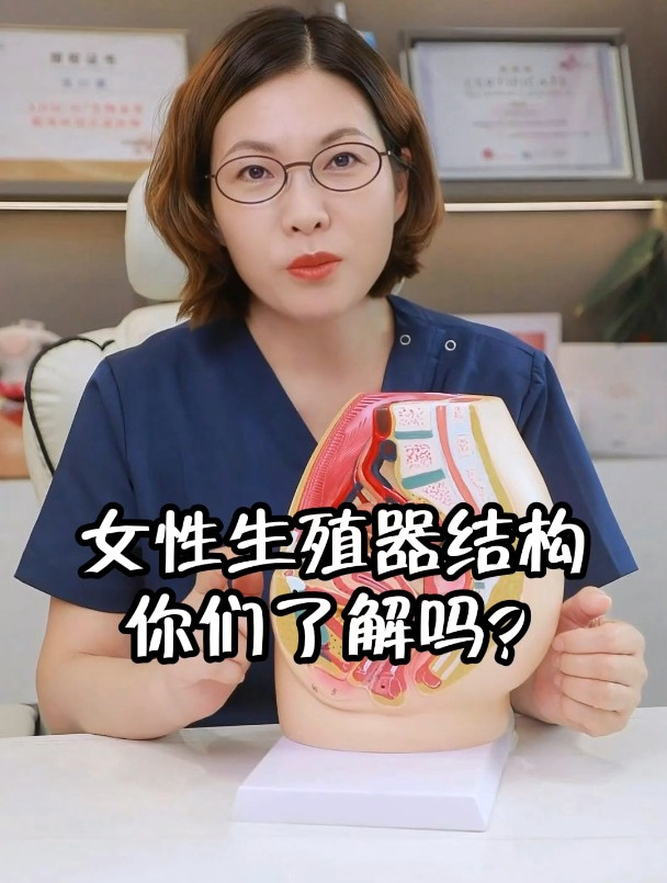 女性私密健康:女性生殖器结构,你们了解吗?