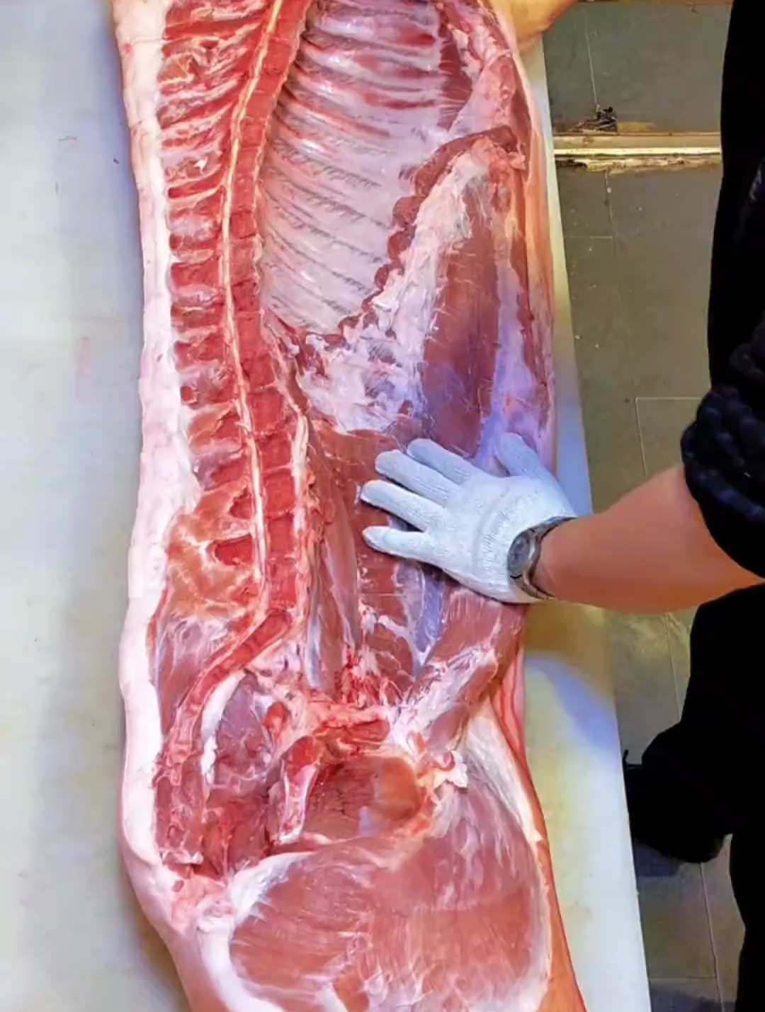 简单说说猪肉各个部位名称,讲解如有不足,欢迎评论告知