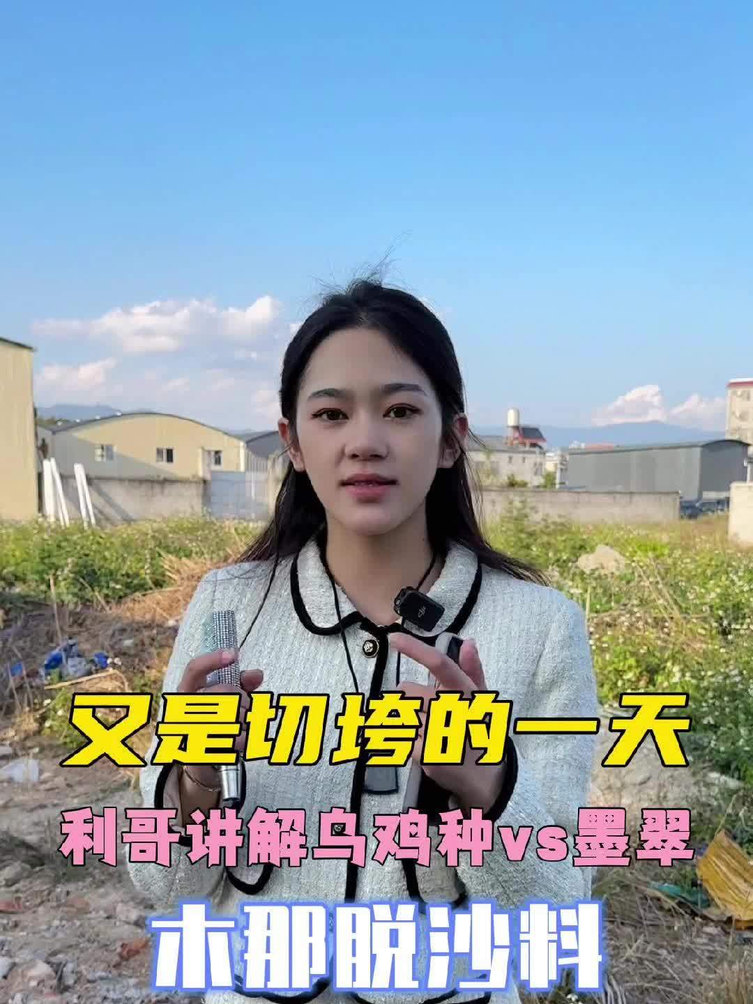 利哥分享小知识:为何不值钱的乌鸡料,市场上价格却如此之高?