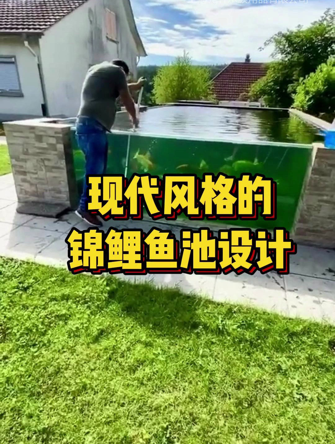 现代风格的锦鲤鱼池设计,简洁而富有质感