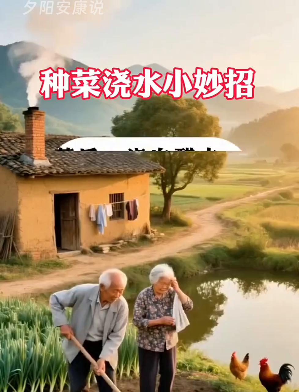 种地浇菜的小技巧,让你轻松搞定!