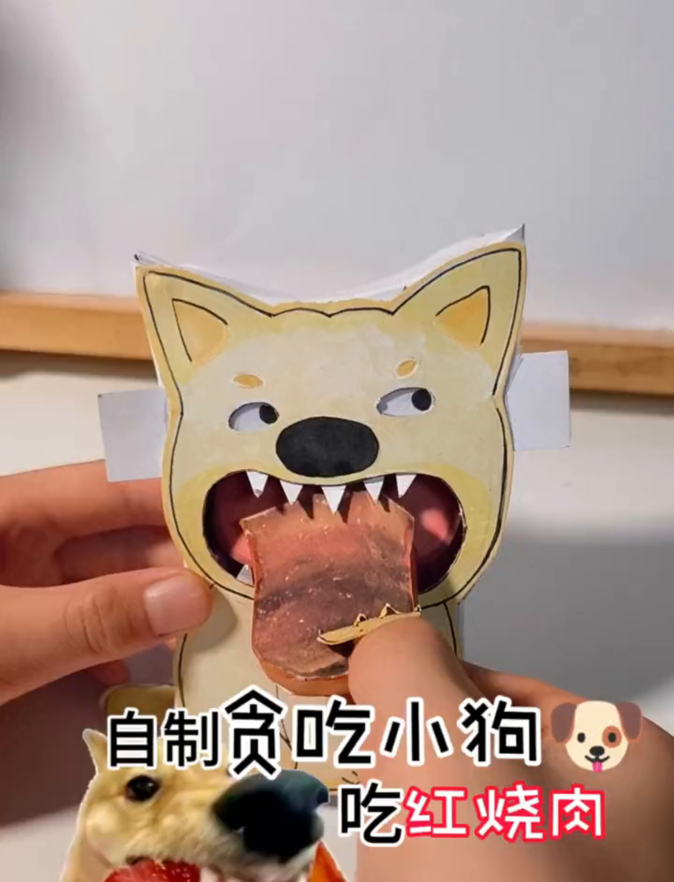 自家小毛贼偷吃我红烧肉,连披萨鸡翅都不放过!你们有啥搞笑表情包分享吗?