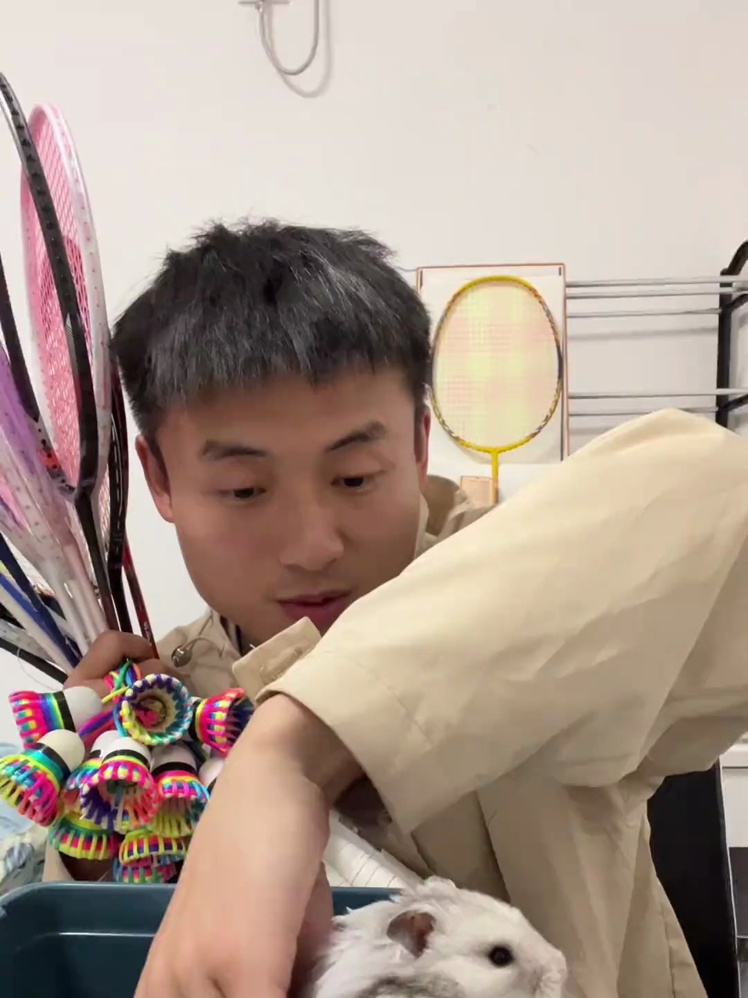 你们会喜欢汤圆儿的对不对