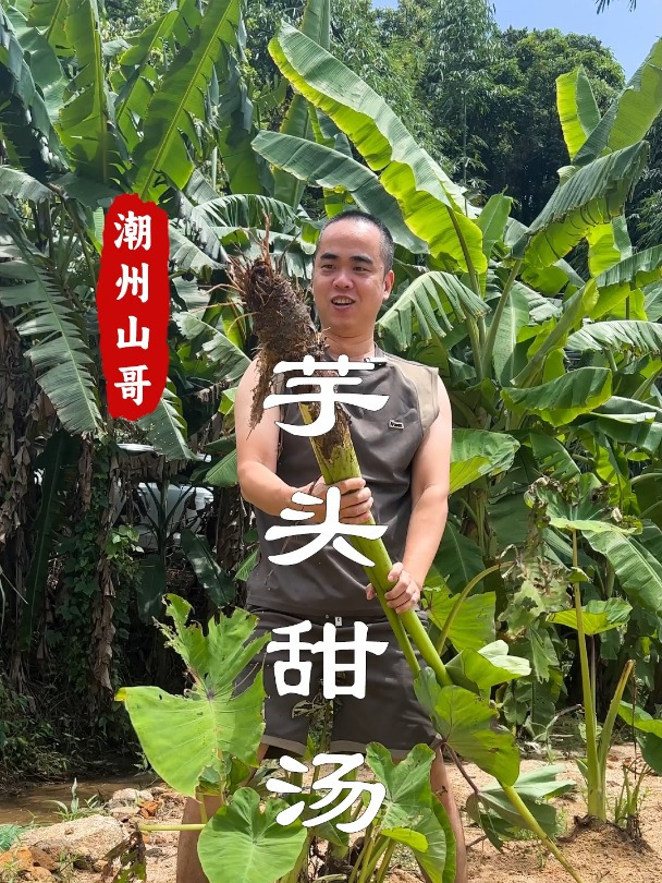 在潮汕,一个芋头可以做百道美食,比如芡实芋头甜汤
