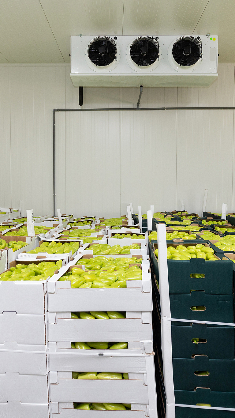 果蔬保鲜气调库冷库做好微生物控制延长水果蔬菜货架期!