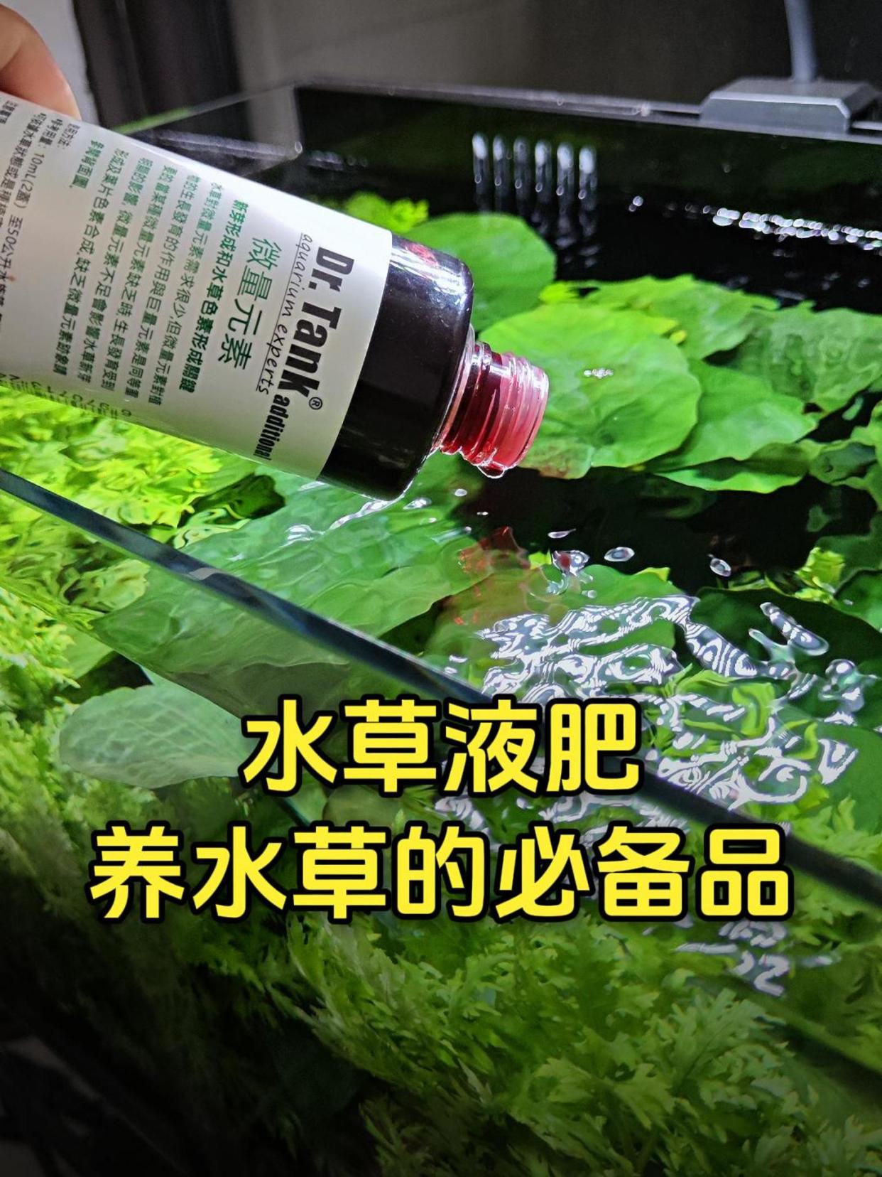鱼缸里的水草想养好,不同水草需要不同液肥,对鱼虾没有影响