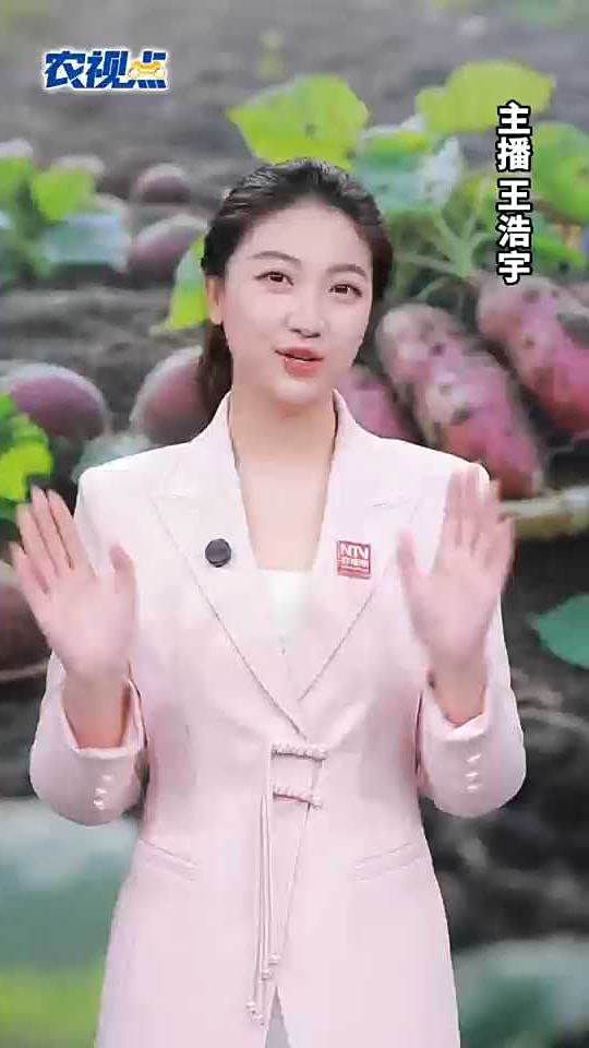 从前“喂猪”现在是“高端蔬菜”!