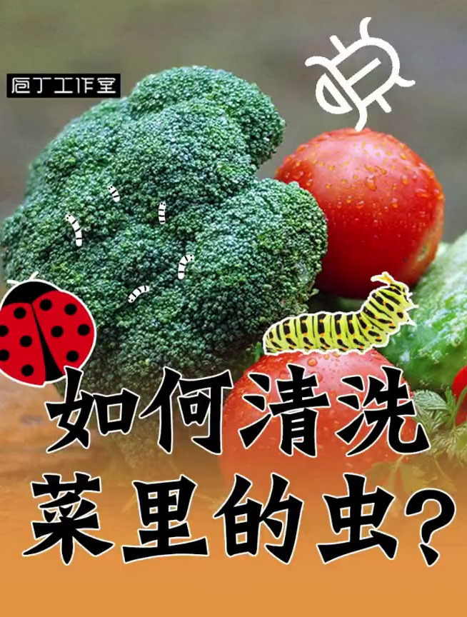 米饭长了小黑虫 如何清洗掉让人难以下咽的菜虫