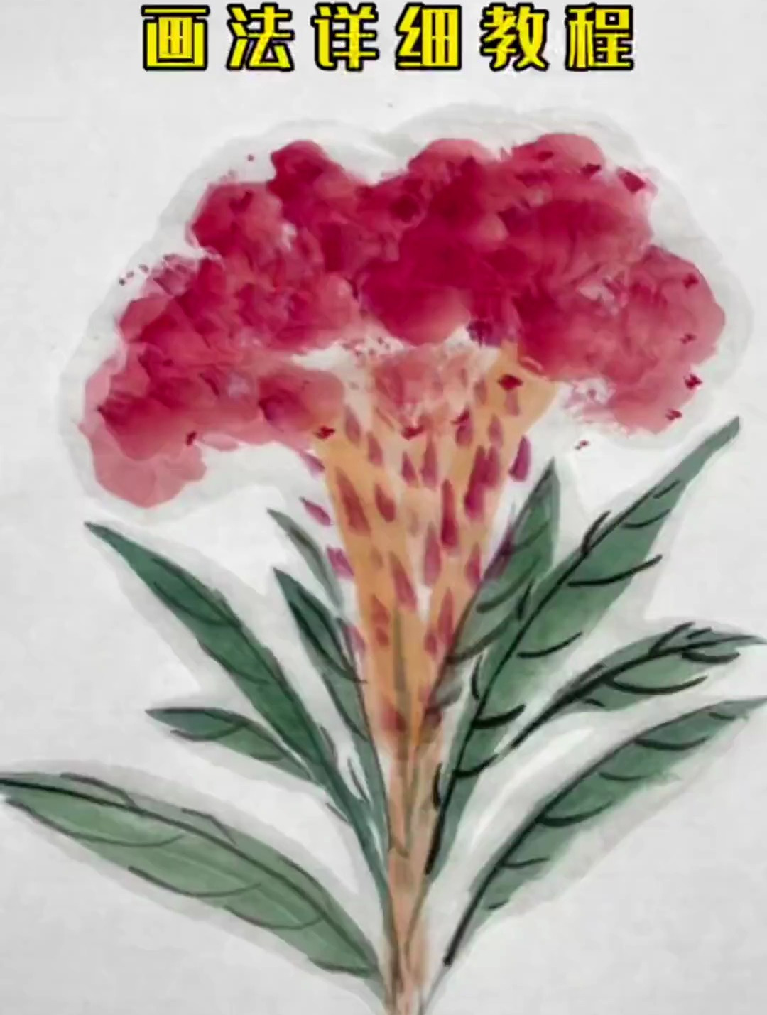 鸡冠花画法详细教程