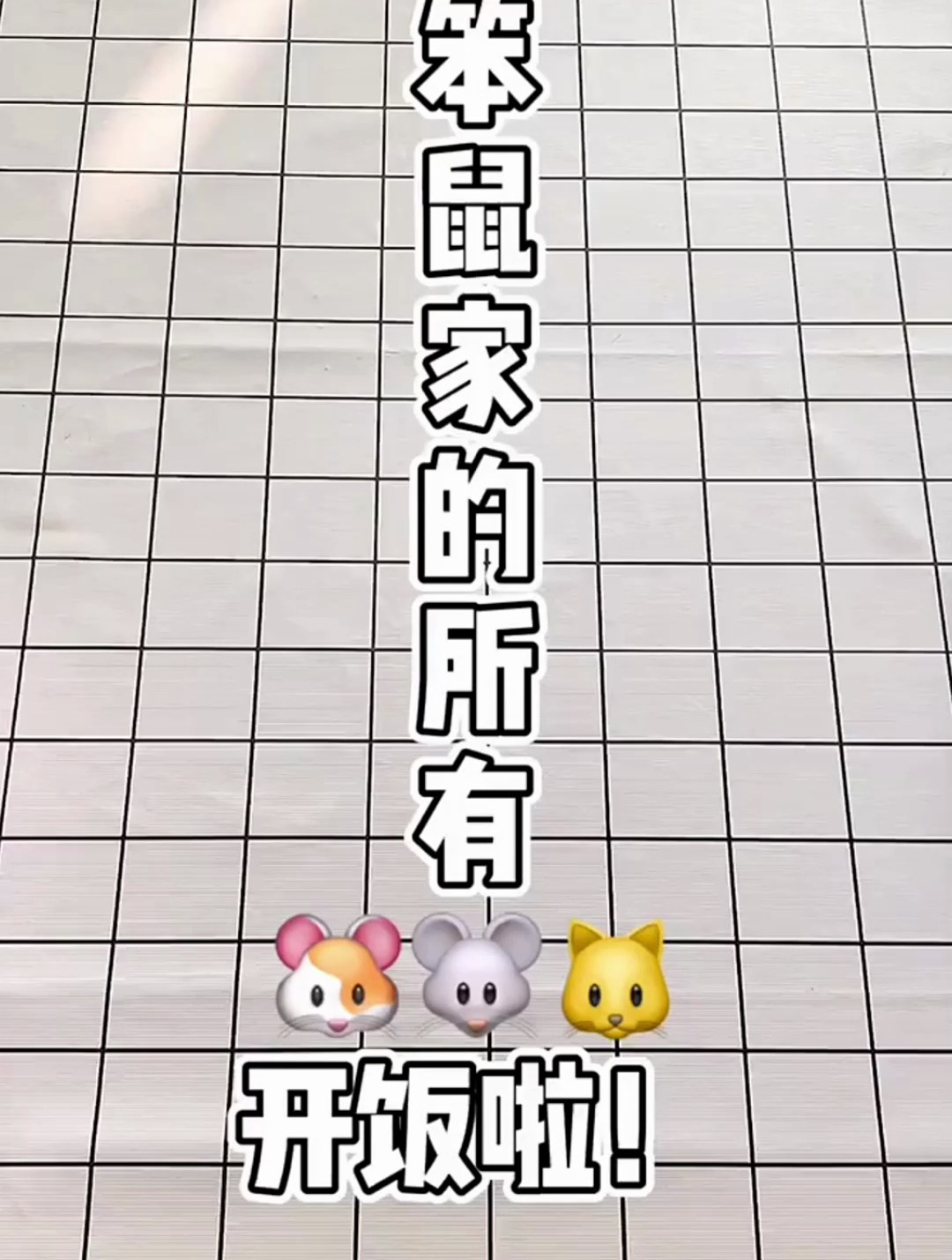 今天是幼儿园食堂阿姨!