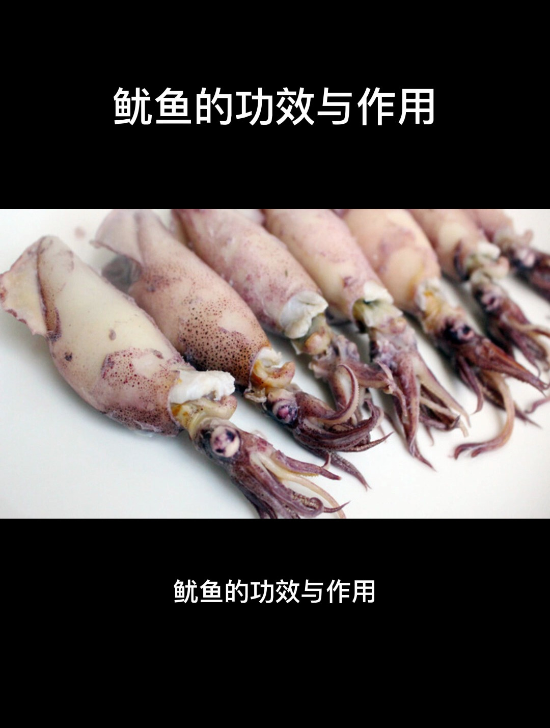 食疗:鱿鱼的功效与作用,很多人居然不知道!