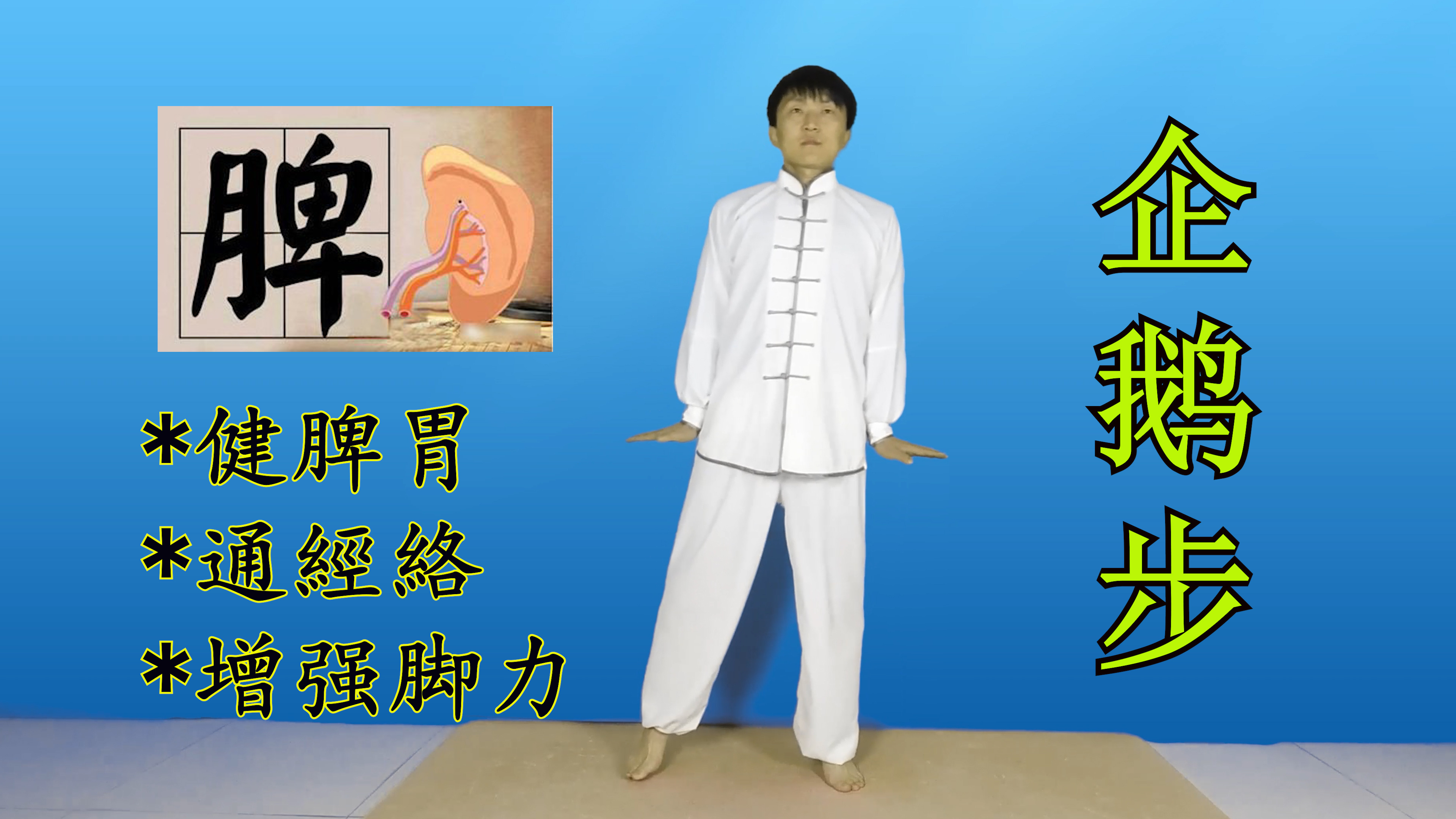 脾胃不好人易老,每天练习5分钟“企鹅步”,增强运化身体棒