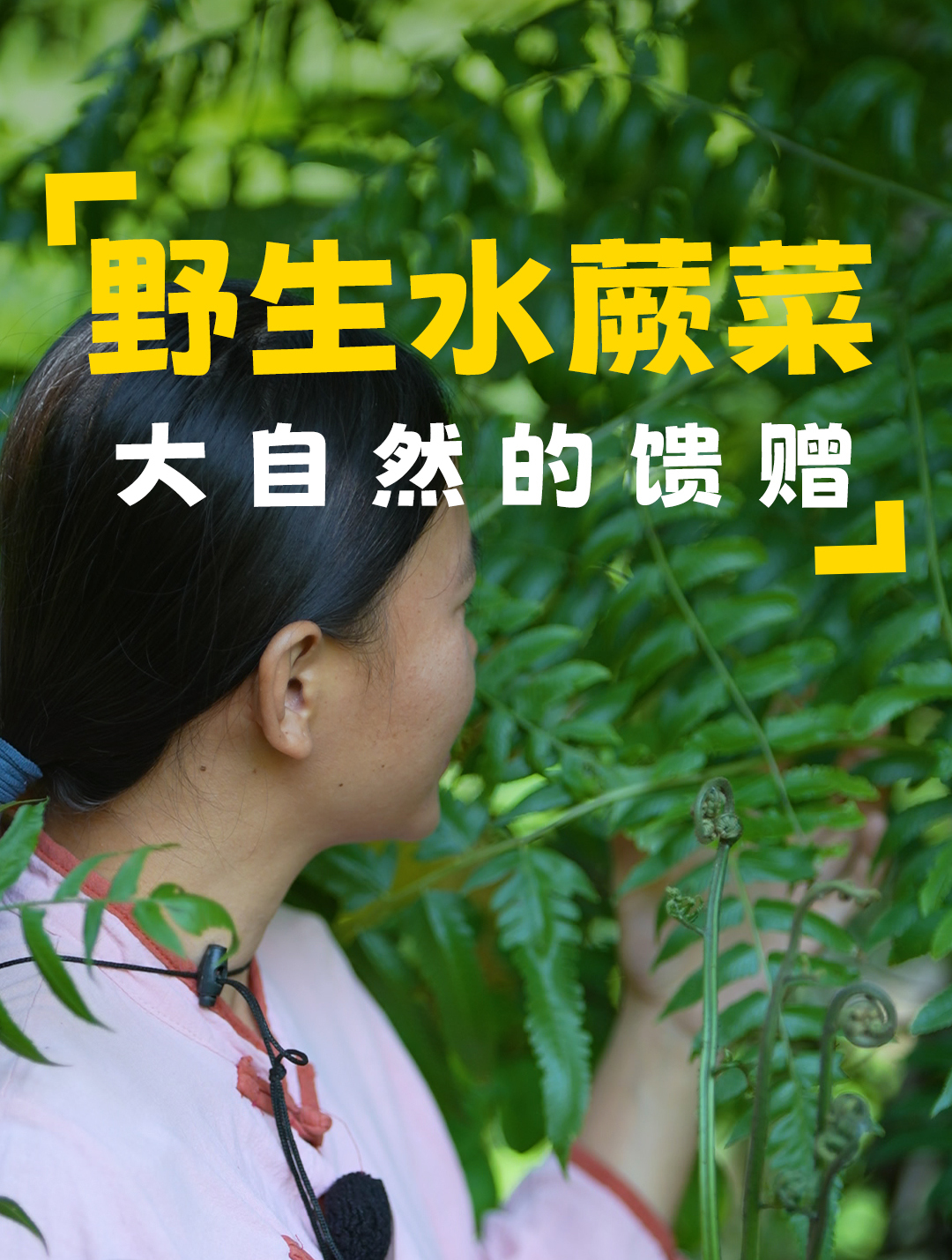 明媚日,河畔寻野生水蕨菜,烹饪出童年味道,重拾美好回忆